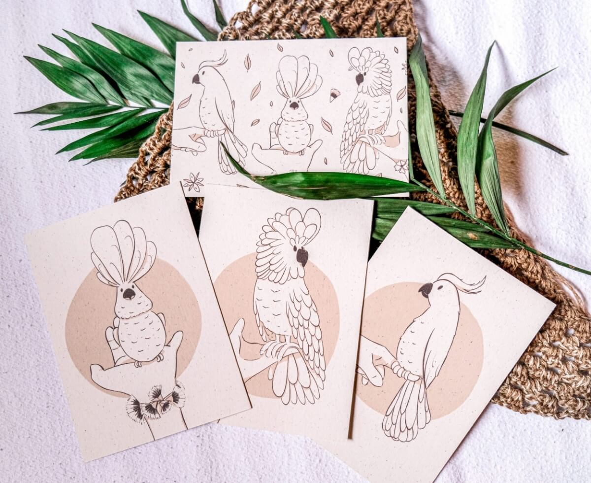 Illustrations d'oiseaux sur des cartes imprimés